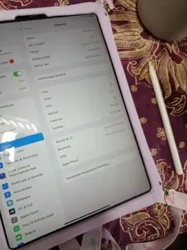 Ipad pro 11 gen 3 2018 256 semurah krupuk