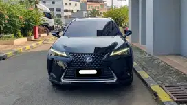 Km17rb lexus ux300e electric 2022 hitam pajak panjang