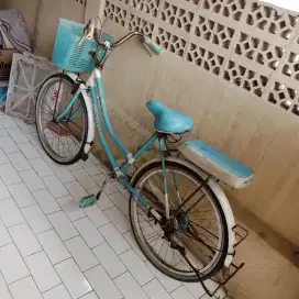 Sepeda keranjang mini pacific casella 23