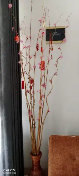 Bambu asli bagus