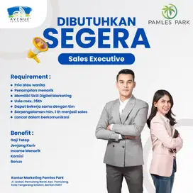 DIBUTUHKAN SEGERA SALES EXECUTIVE PROPERTY