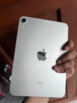 iPad mini 6 256gb wifi