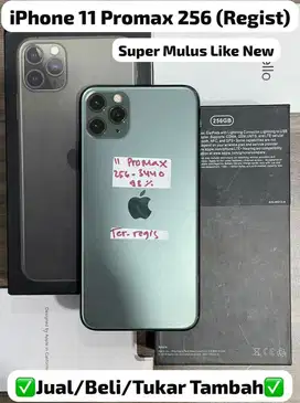 iphone 11 promax 256gb terregister