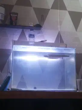 Aquarium 60x40x40 bekas
