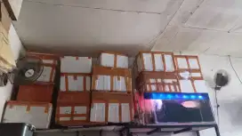 Steraform sekali pakai murah