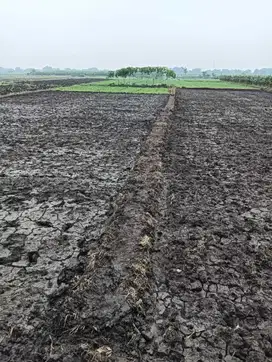Jual Tanah sawah di begendul sidowarek kec plemahan ahmad sekoto