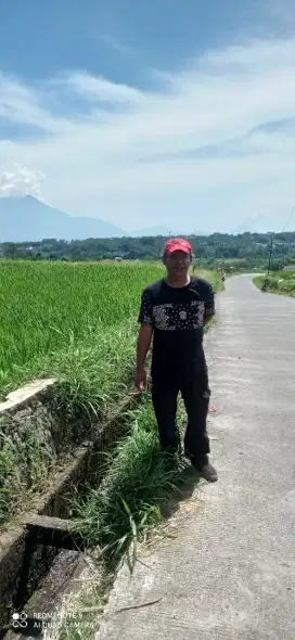 Bisa kerja apa aja tukang kebon tukang AC tukang bersih Sopir, driver