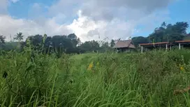 Dijual Tanah View Bukit – Lokasi Strategis di Bukit Cinta, Gumpang, Ka