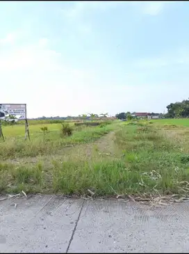 Tanah Kavling Dekat Waterpark Di Desa Tanggungsari Ketanggungan Brebes