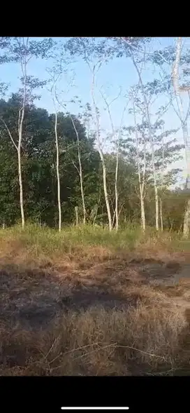 Jual Tanah Murah Meriah Butuh Uang Segera