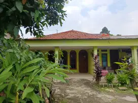 Dijual/Dikontrakan Rumah
