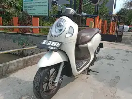 Honda Scoopy prestige th 2022 cash/kredit
