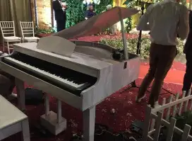 Baby grand piano body casing piano digital