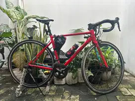 Preloved Sepeda Polygon Strattos S3 Tahun 2022