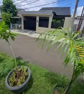 Dijual CEPAT Rumah Luas Nusa Loka