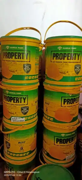 cat tembok property 5 kg