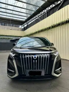 Denza D9 Vin 2025