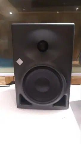 Speaker Neumann KH 120A GEU