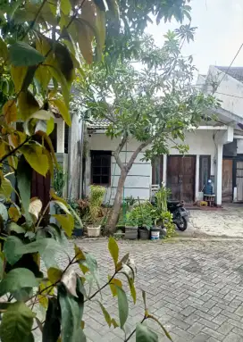 Taman pondok legi