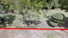 Dijual Tanah 6 Are Sangat Murah di Taman Sekar, Kediri, Tabanan