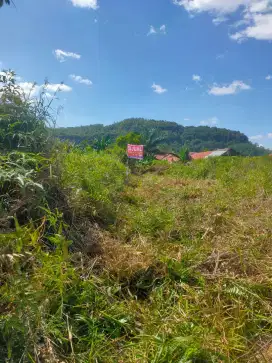Dijual tanah Tampa perantara