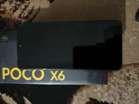 Poco X6 12/256Gb