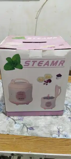 STEAMR Sauan Bafan Portable