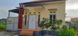 Rumah disewakan