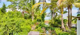 Jual tanah sawah 29 borongan