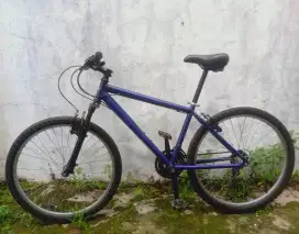 Sepeda Polygon lawas