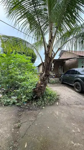 Tanah darat Luas 139m medan tuntungan