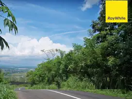 Disewakan Tanah Strategis Ds Ngembal Kec Tutur Kab Pasuruan