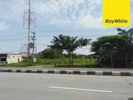 Disewakan Tanah Strategis Jalan Raya Lamongan Babat (Gembong)