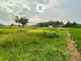 Dijual Tanah Bekas Sawah di Kedawung Cirebon