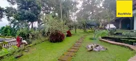 Dijual Rumah Villa Asri SHM di Reco Lanang Trawas Mojokerto