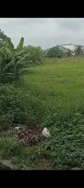 Dijual Tanah Pinggir Jalan Raya, Mauk, Sepatan, Tangerang