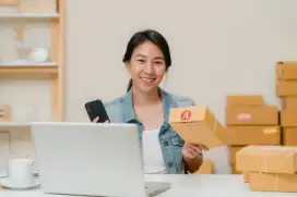 Pegawai Toko Olshop dan Offline Admin Toko Admin Gudang Online