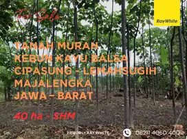 Tanah Kebun Balsa - Majalengka - Murah