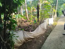 Jual tanah luas 100m2