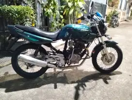 Tiger lawas 1994