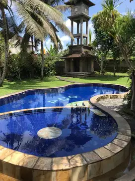 Villa ubud luas 19 are