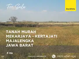 Tanah Samping Pt Bibit Indonesia - Majalengka - Jawa Barat - 5 Ha