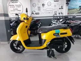 Fazio Neo 2023 exlusive
