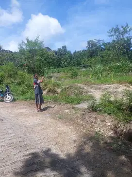 DIJUAL TANAH DI GUNUNG KIDUL 3182M2 DAN 2588M2