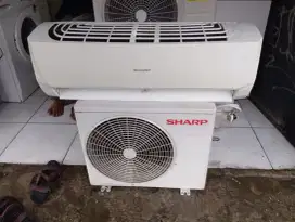 Ac 1/2pk merk shap