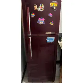 KULKAS TOSHIBA GLACIO GR-Y255H 2 PINTU