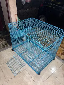 Kandang Kucing Ukuran Besar