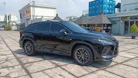 Lexus RX300 2 0 FSport 2021, Istimewa Km 15rb record