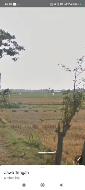 Tanah Sawah Dijual Di Embarkasi Haji ngemplak Sawahan Boyolali