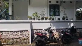 Jasa Tukang cat